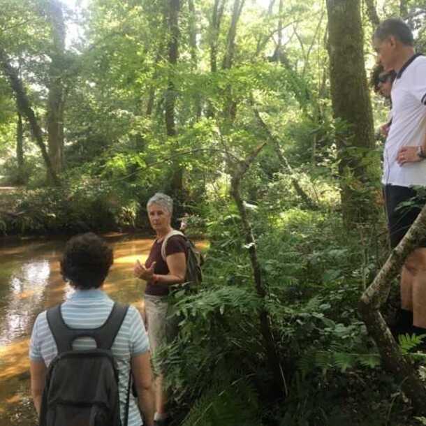 BALADE LE LONG DU RUISSEAU DU CIRES
